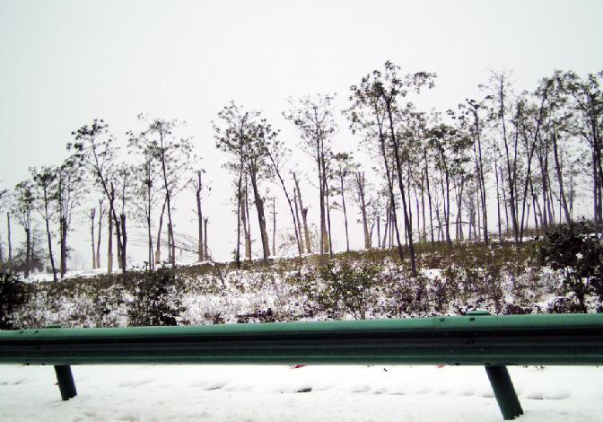 春节回乡，冰雪成灾