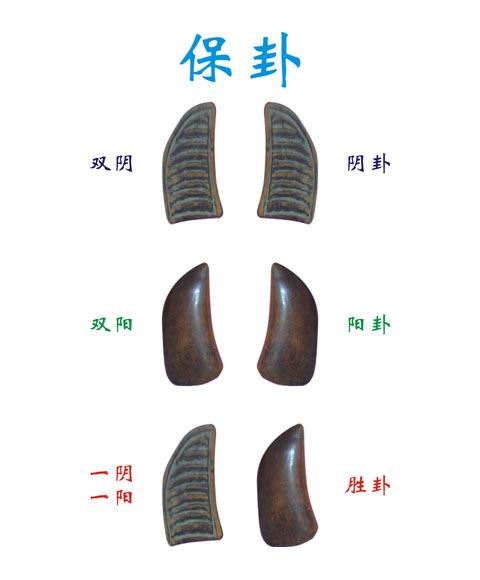 撒罗经米