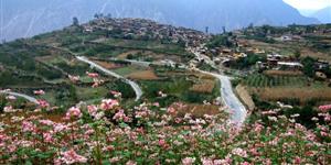 青黄不接的岁月