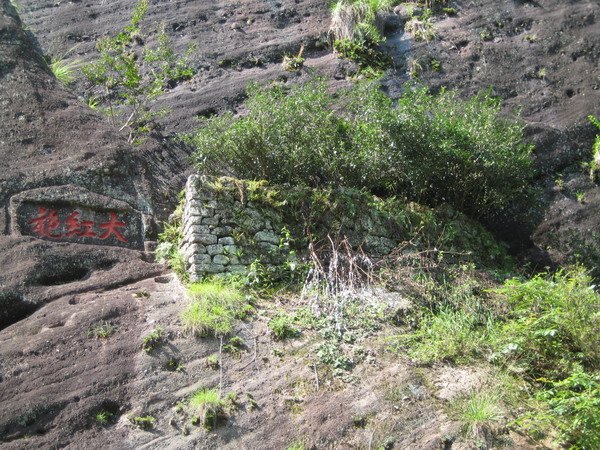 福州-武夷山-厦门五日游(三)