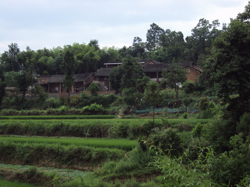 我家住在邓家岭（三）