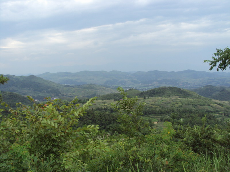 我家住在邓家岭（一）