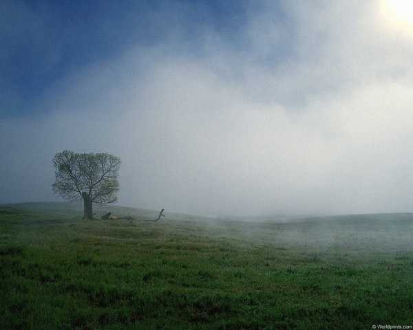 能与你相识只是场梦