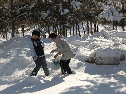 雪中情