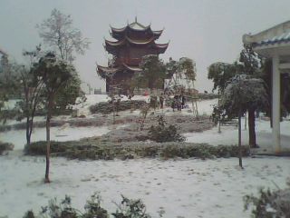 2008年的那一场雪