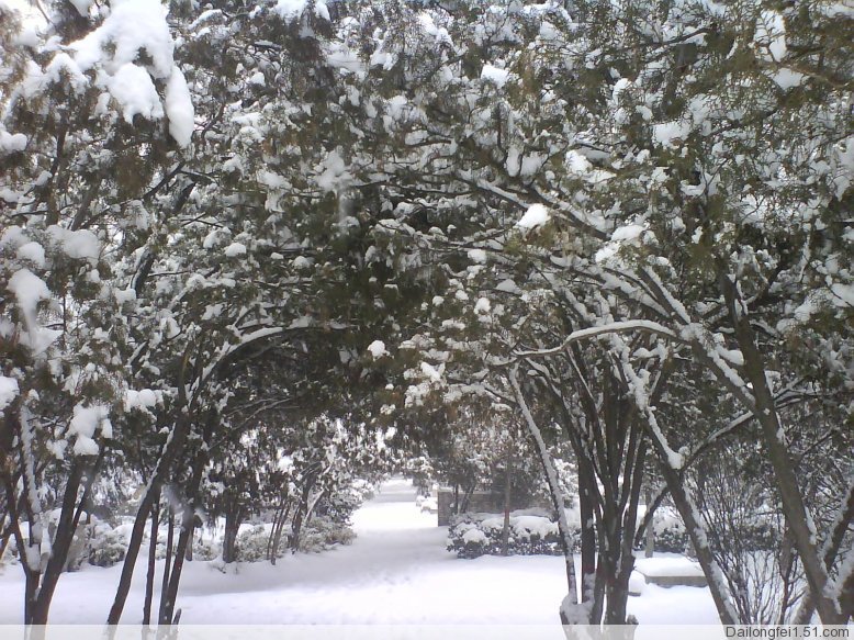 白雪纷纷何所似，撒盐空中差可拟，未若柳絮因风起