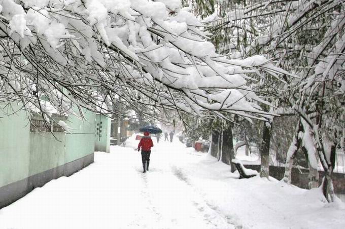 雪地里的爱人