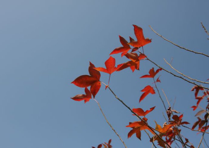 新春出行：从广州到蒙山