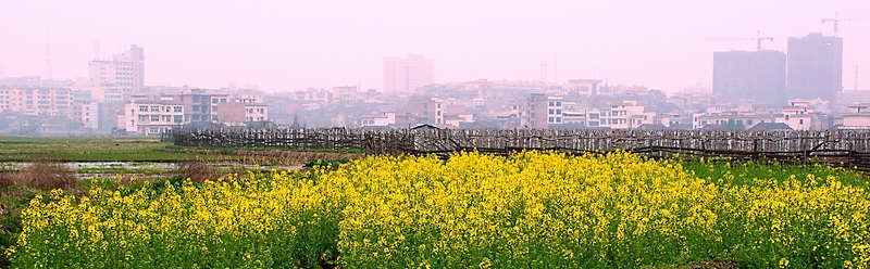 春暖花开