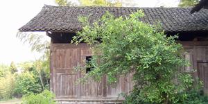 146个脑筋急转弯，记住了以后不怕别人考你…