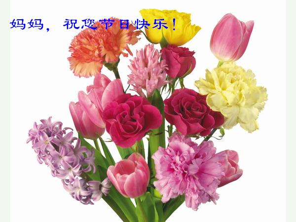 妈妈，祝您节日快乐！