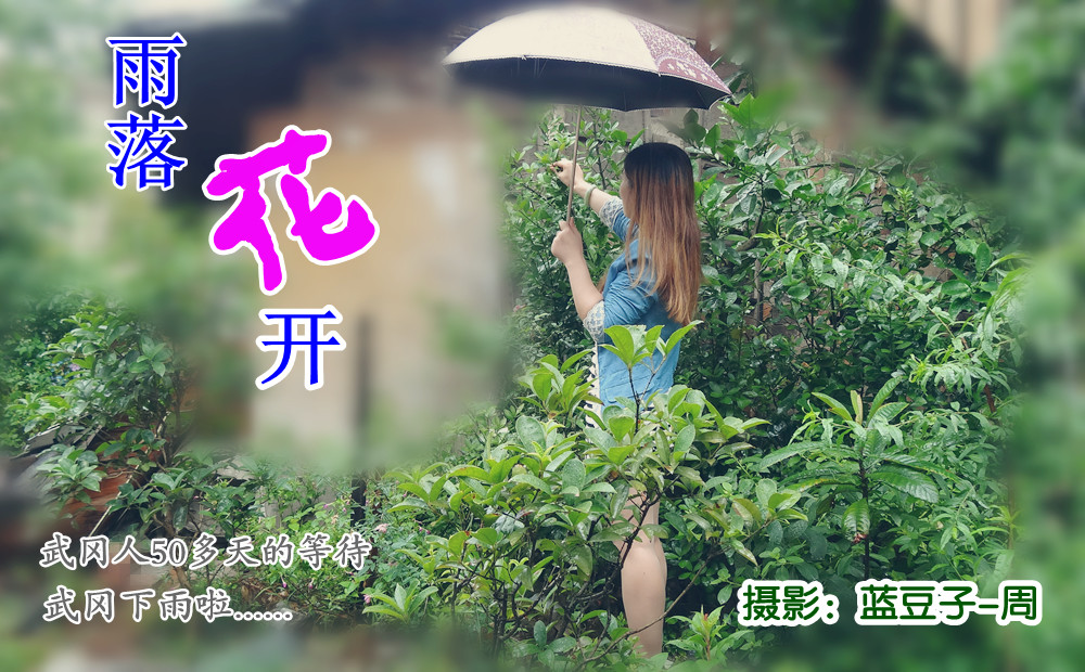 雨落花开：武冈雨中唯美小品