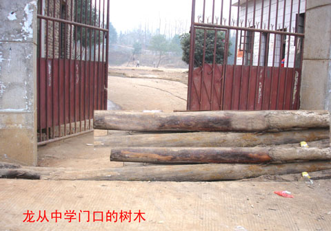 龙从中学被堵校门实景图片