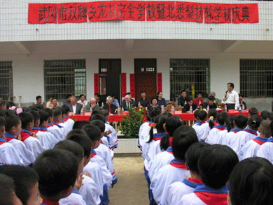 武冈市双牌乡龙从完小暨北悉梨扶轮学校举行落成庆典