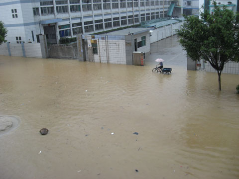 辦公室外面的馬路被水淹了