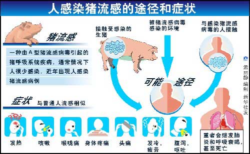 人感染豬流感的癥狀及預(yù)防
