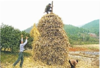 倡導(dǎo)低碳  變廢為寶