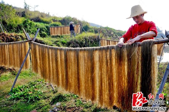 市场销路畅 红薯粉丝走得俏