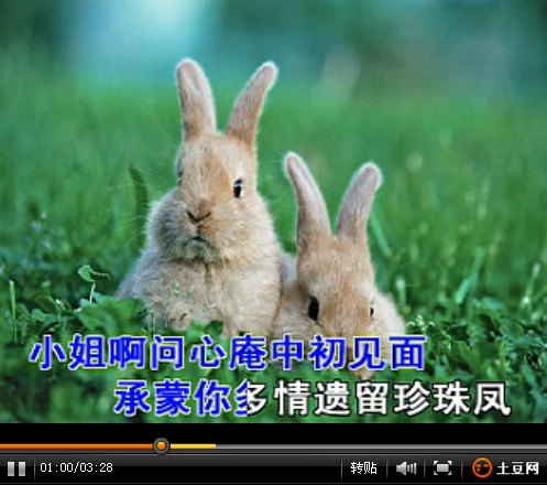 兴冲冲奉命把花送