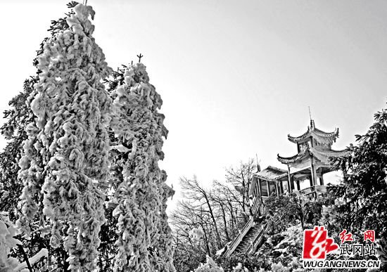 雪景雾凇堆砌云山