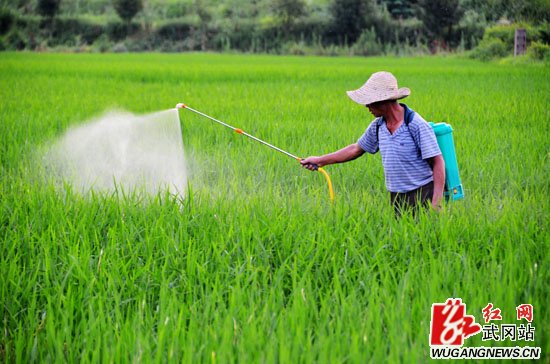 冒酷暑稻田治虫