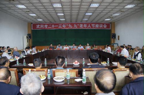 武冈市召开“九.九”老年节座谈会