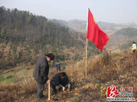 司马冲镇开展学雷锋义务植树活动