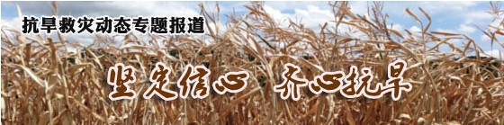 抗旱救灾动态专题报道之2