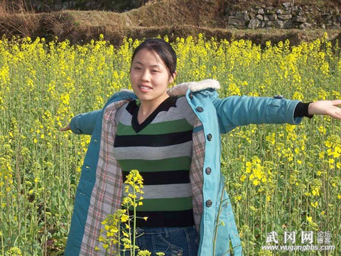 豬年新印象,魚(yú)兒新PP上線.
