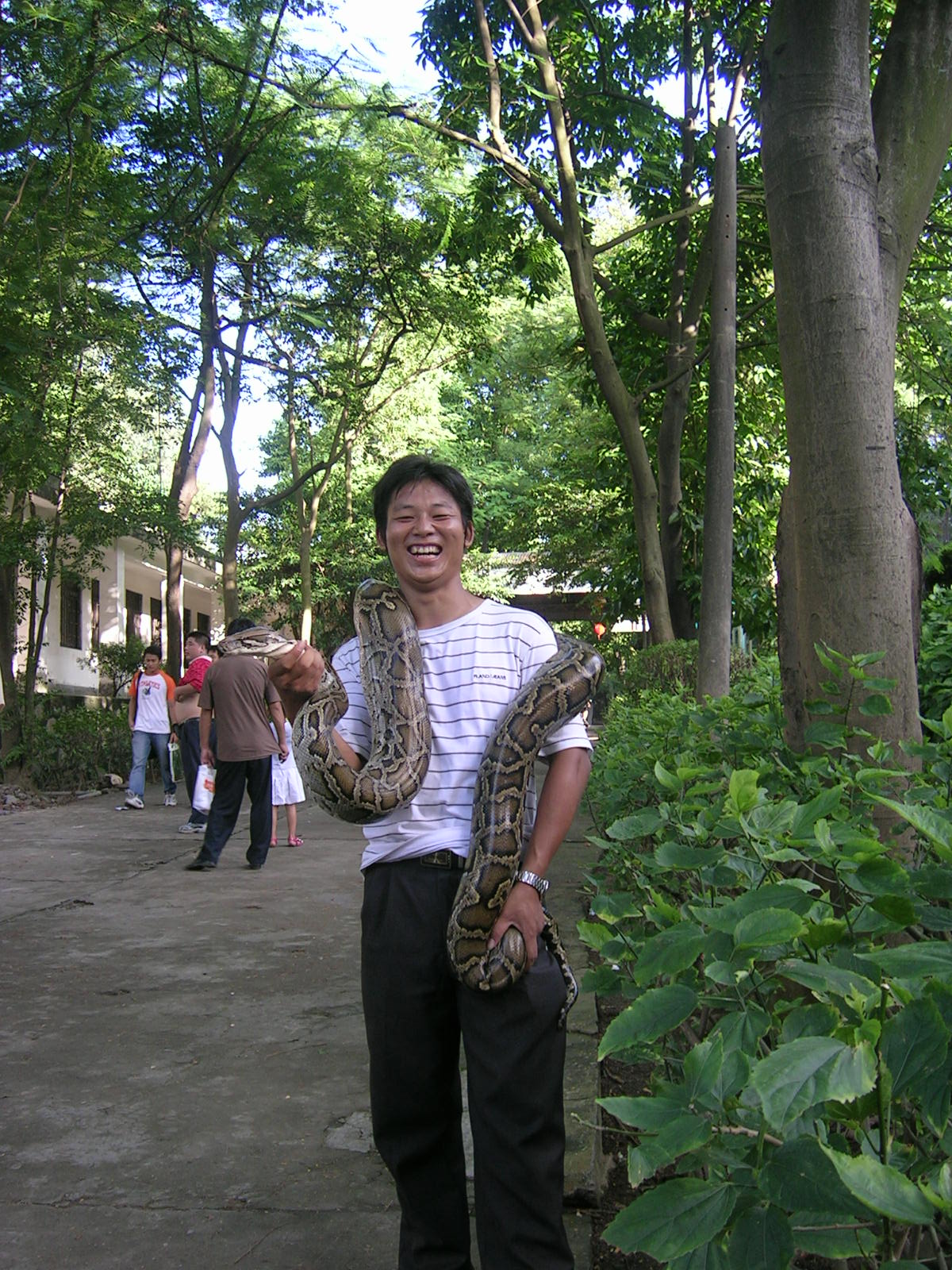 人蛇大戰(zhàn)