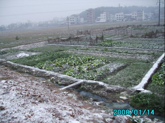 雪----玉帶橋龍里