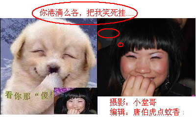 聚会相片:你港滴么咯,把我笑死挂