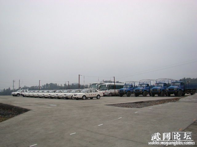 有需要學(xué)駕駛、考駕駛證的嗎？