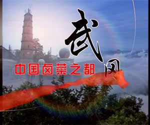 有老鄉(xiāng)和我在東莞一起賣(mài)武岡鹵豆腐嗎?