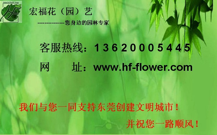 請(qǐng)?zhí)岢隼相l(xiāng)們的寶貴意見和建議