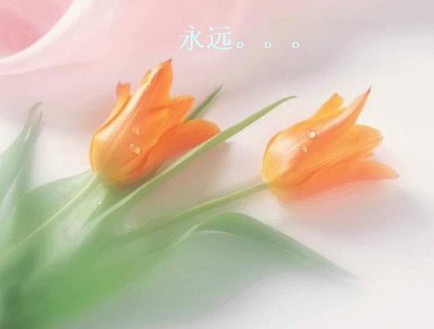 酒桌上的喝酒禮儀