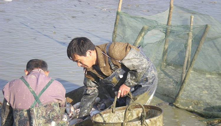 还记得小时候干塘捉鱼么