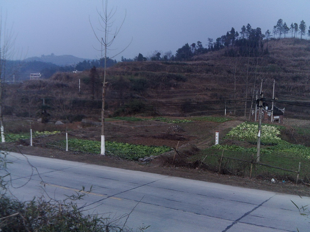 出售宅基地(可建別墅)
