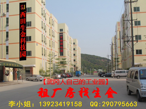 生金物業(yè)最新盤源信息