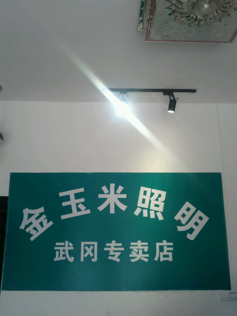 武岡金玉米LED照明專賣