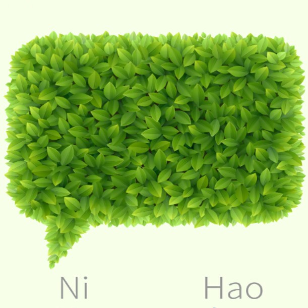 李崇树