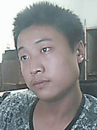 _豬都笑了