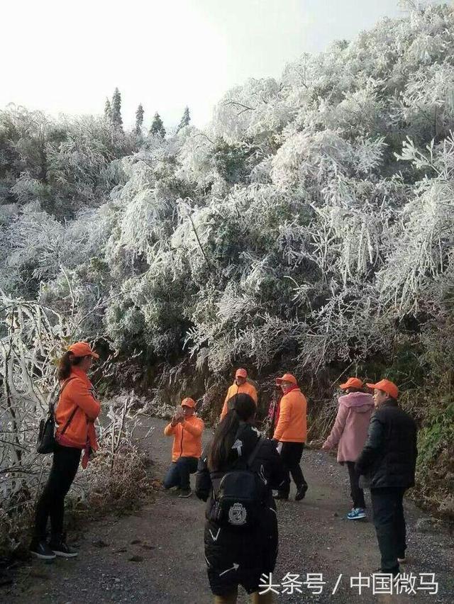微馬晨，微馬情-記武岡微馬2017開年跑