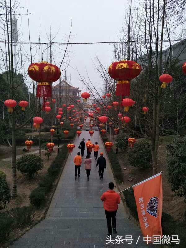 微馬晨，微馬情-記武岡微馬2017開年跑