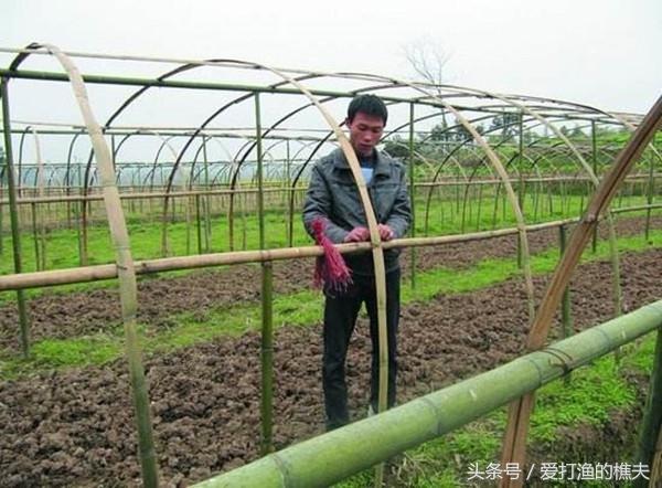 再過十年，住在農(nóng)村的都是什么樣的人？
