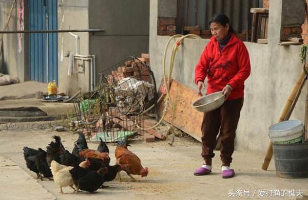再過十年，住在農(nóng)村的都是什么樣的人？