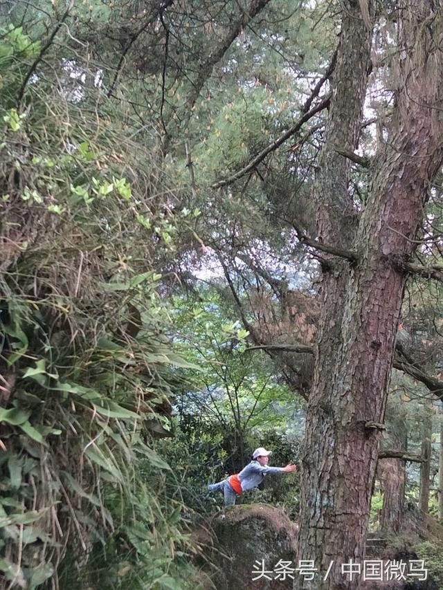 神奇云山又見武岡微馬