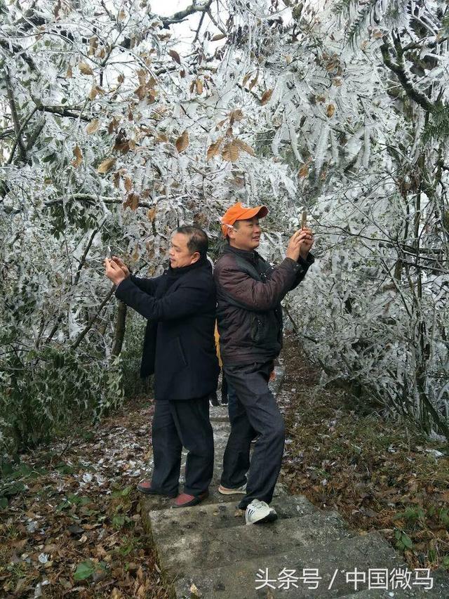 武岡云山,微馬讀你千遍樂賞不厭!