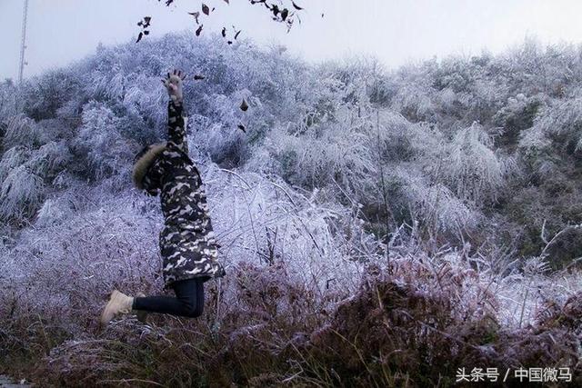 武岡云山,微馬讀你千遍樂賞不厭!