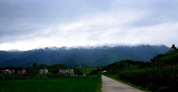 古道悬案
